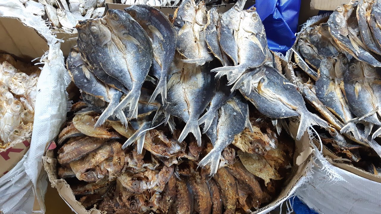 Different kinds of DRIED FISH!
