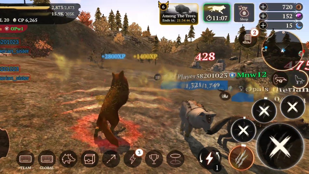 The Wolf Pvp reaching level 20