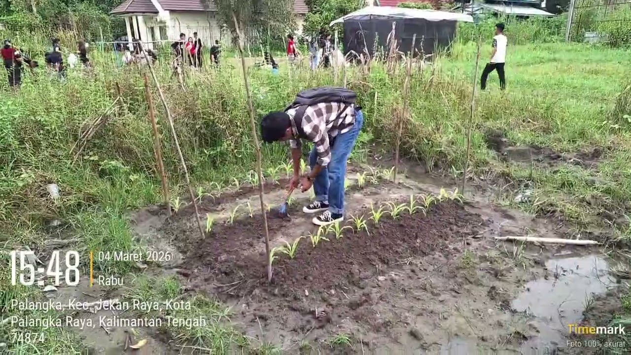 Praktikum pemuliaan tanaman