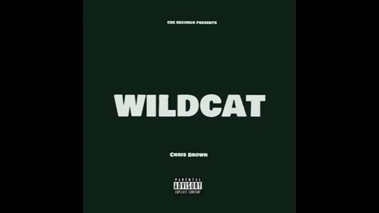 Chris Brown - Wildcat
