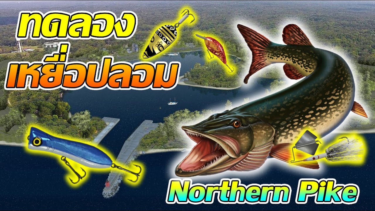 Fishing planet l ตีเหยื่อปลอม Northern Pike
