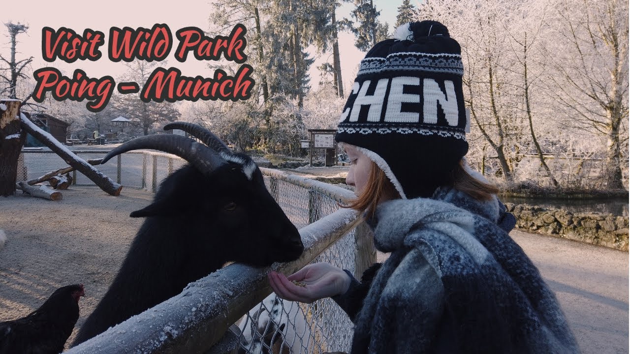 Visiting Wild Park Poing Munich Germany
