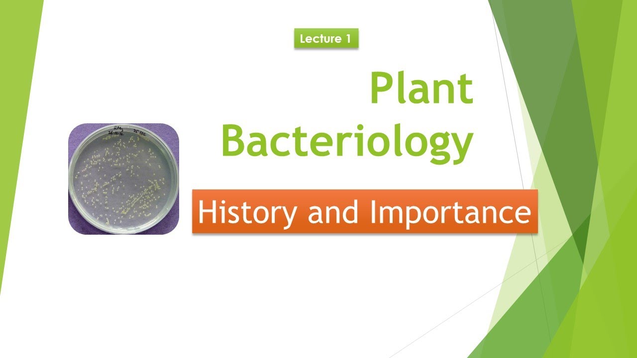 Plant Bacteriology: History and Importance │Plant Bacteriology in India │Milestones