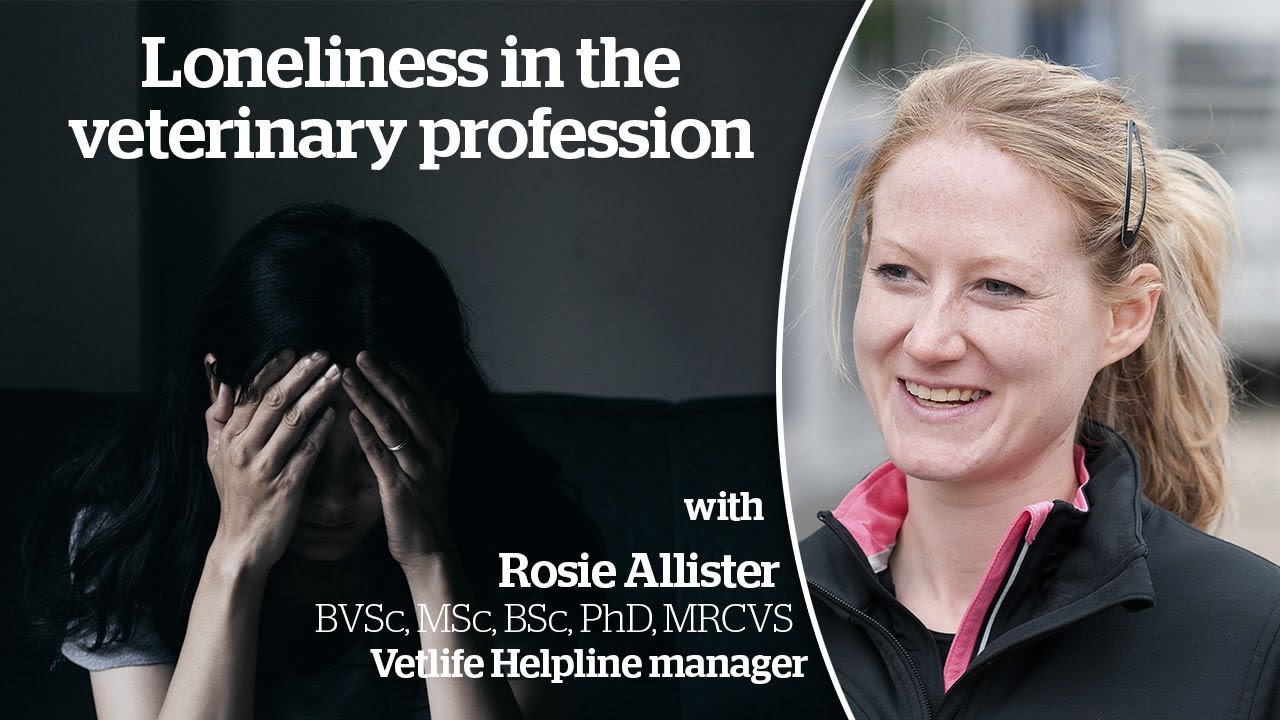 Loneliness in the veterinary profession