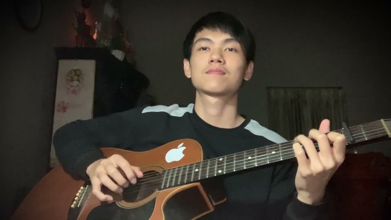 Unstoppable - Sia (fingerstyle guitar cover) ♫