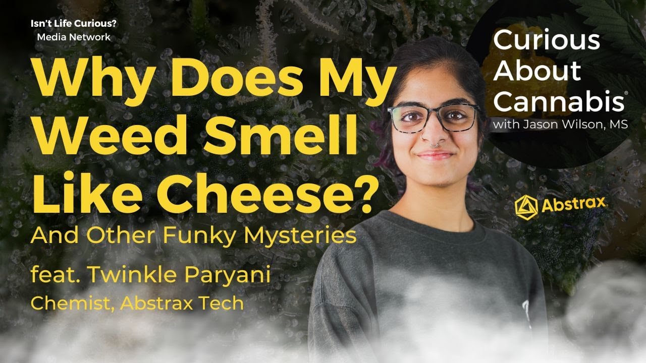 Why Does My Weed Smell Like Cheese? And Other Funky Mysteries with Twinkle Paryani of Abstrax Tech