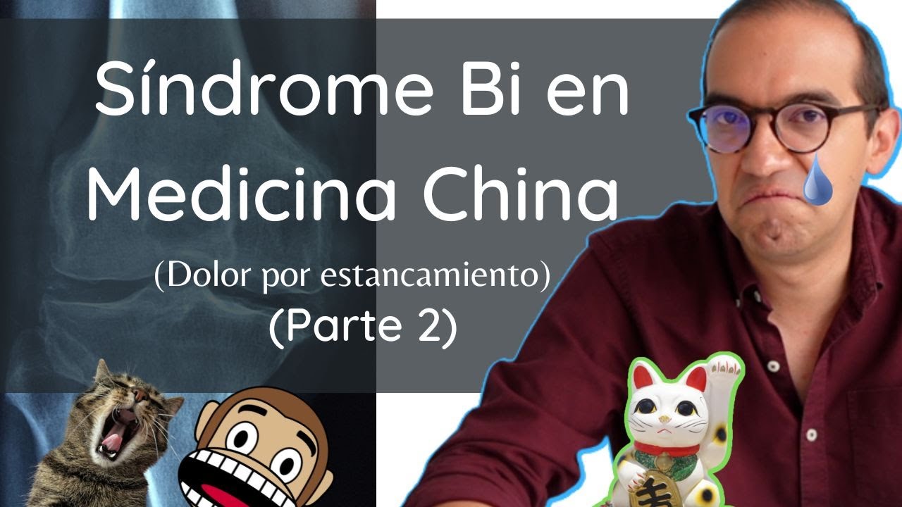ARTROSIS, ARTRITIS, GOTA: SINDROME BI EN LA MEDICINA CHINA (2/4 parte)| Acupuntura para párvulos