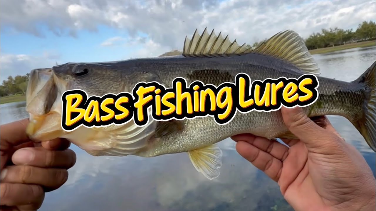 Top Bass Lures I Actually Use (Not Just Tackle Box Fillers)