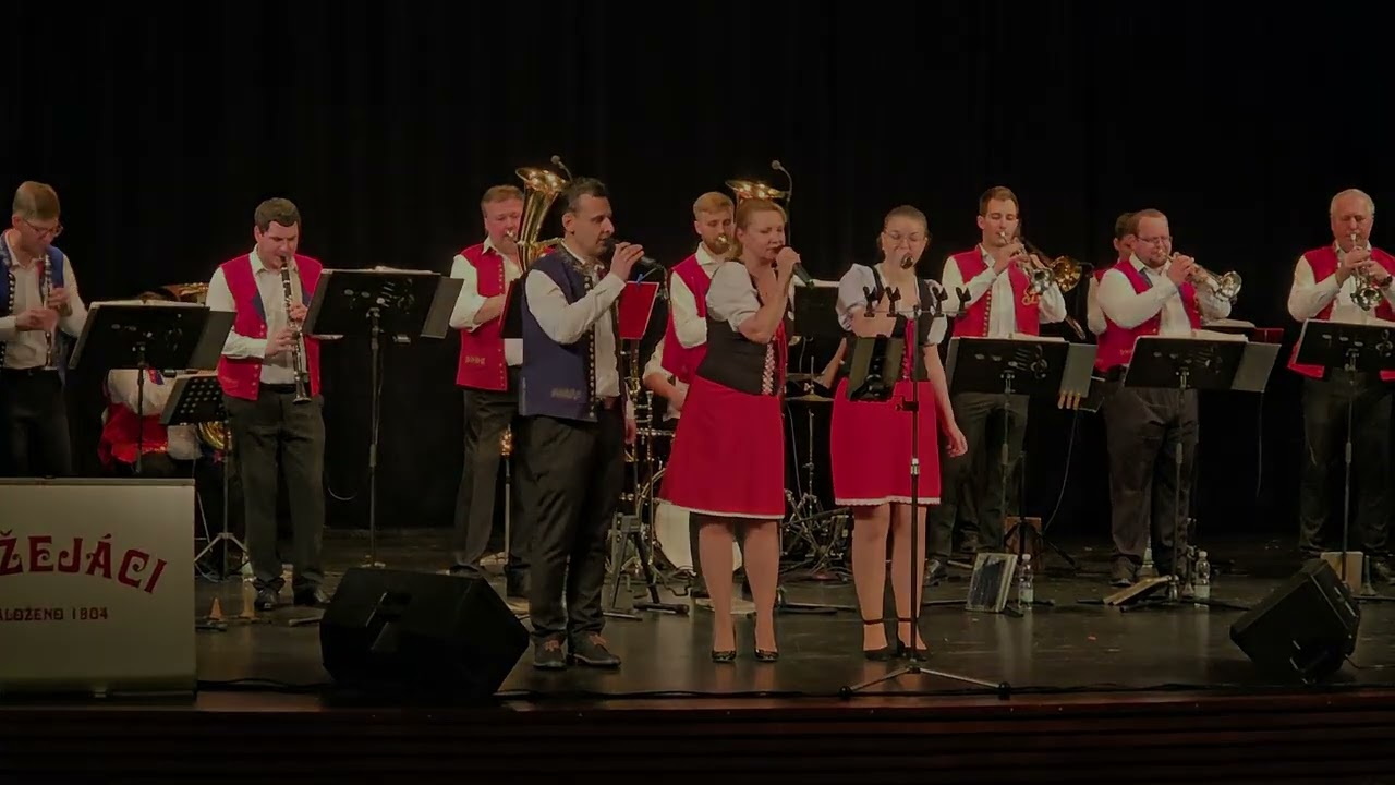 Božejáci koncert Chotěboř 22. 1. 2026