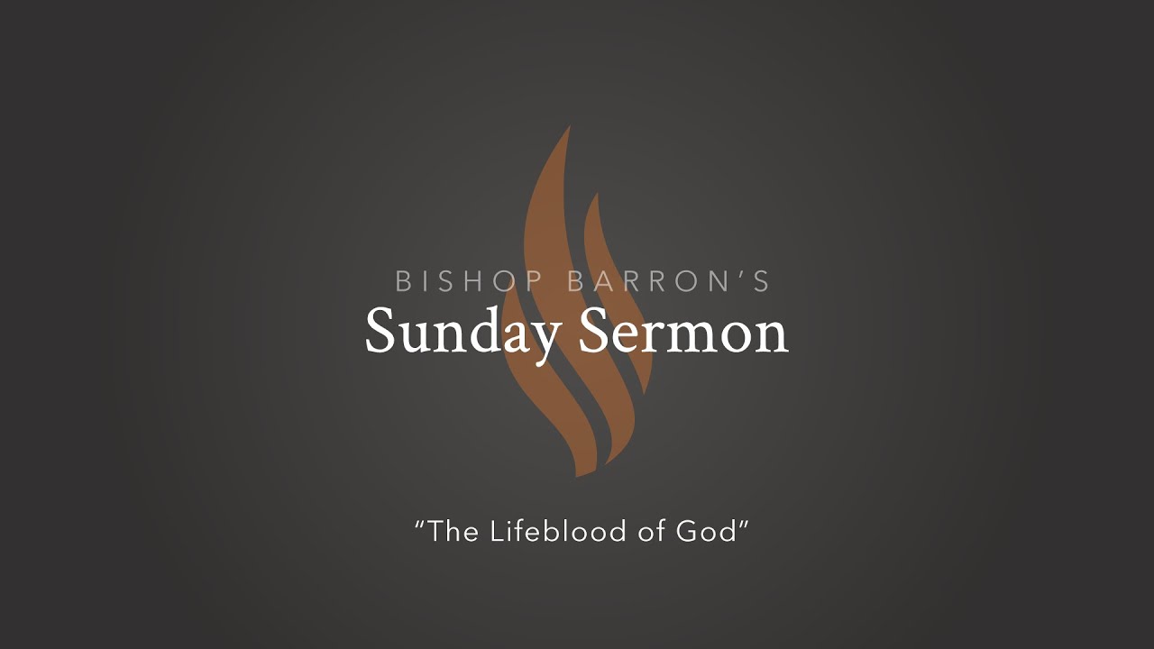The Lifeblood of God — Bishop Barron’s Sunday Sermon