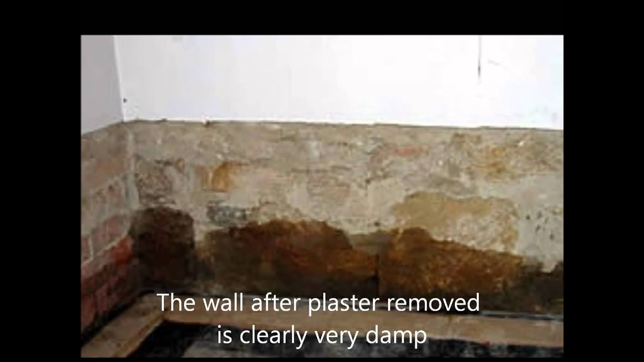 Rising Damp Causes and Cure
