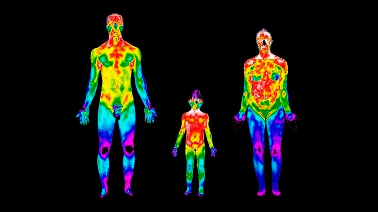 ¿QUÉ ES LA HOMEOSTASIS?