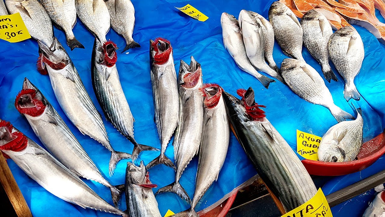 ISTANBUL FISH MARKET - TURKEY Food Tour