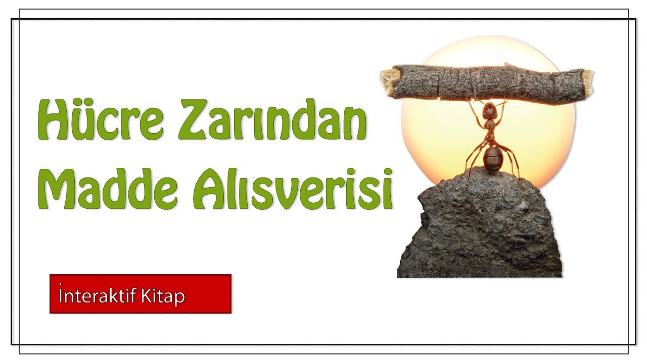 Hücre Zarından Madde Alışverişi #sayfa46