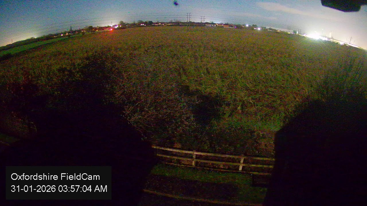 🔴 LIVE Oxfordshire FieldCam - Live Streaming from Oxfordshire, UK
