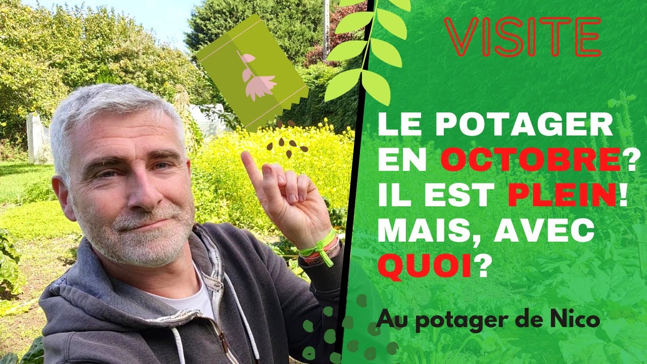 Visite du potager octobre 2022 🌺, toute la place est prise, c'est complet, pas un espace de libre...