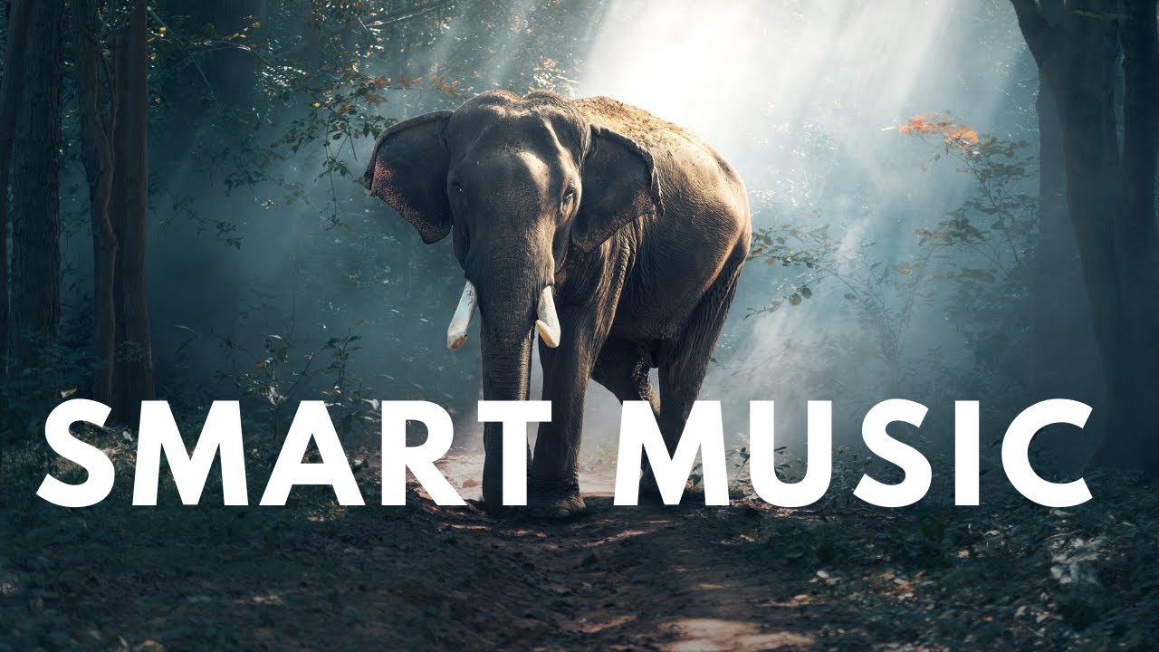 Smart Music, intelligence | to help you focus, meditate, work... Relaxing Music - by Soothing Vibes