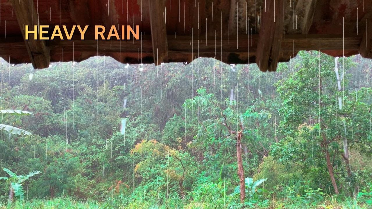 Relaxing Rain & Thunderstorm on Tin Roof | Most Effective Lullaby for Sleep, Insomnia & Deep Sleep