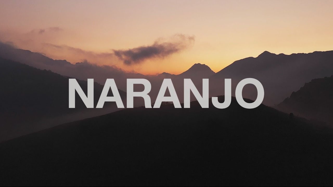 NARANJO | The North Face