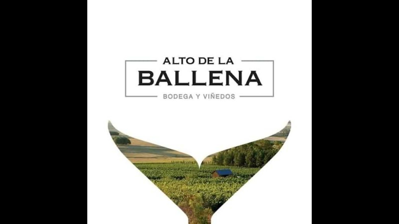 PABLO RICCARDI - ALTO DE LA BALLENA (MALDONADO, URUGUAY)