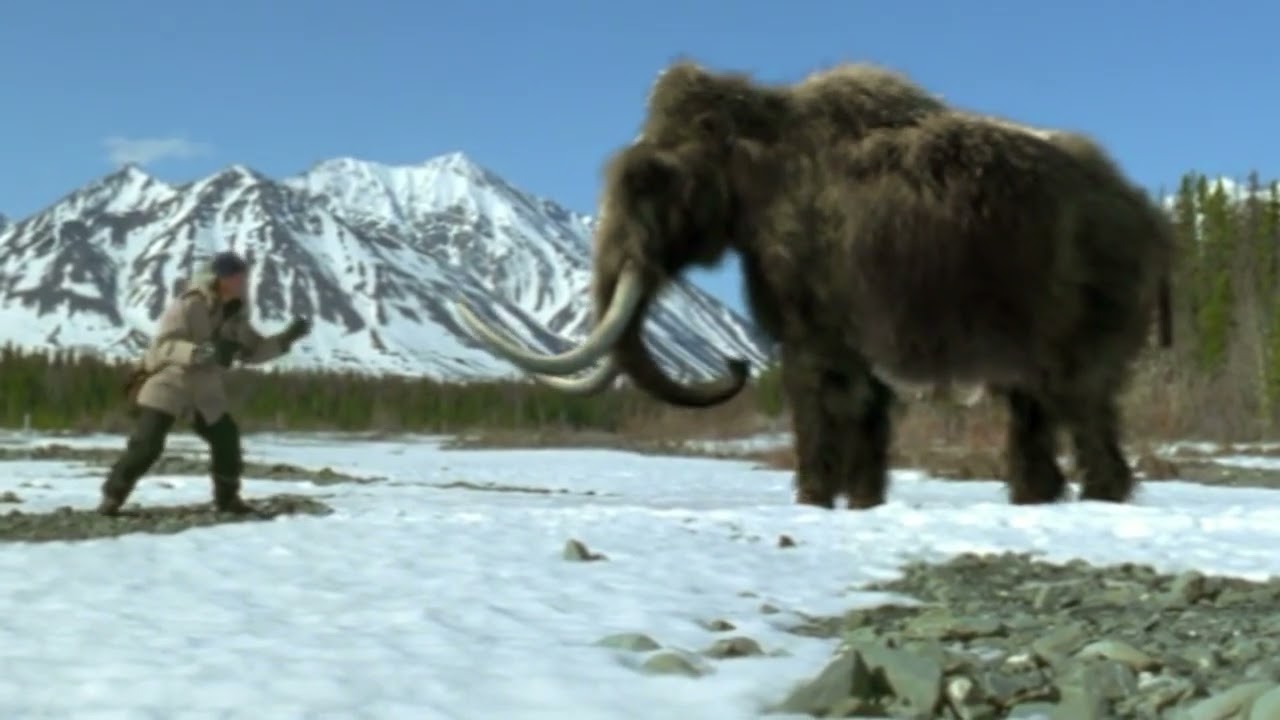 A Mammoth Undertaking  Prehistoric Park Ep 2 Edit HQ Part 3
