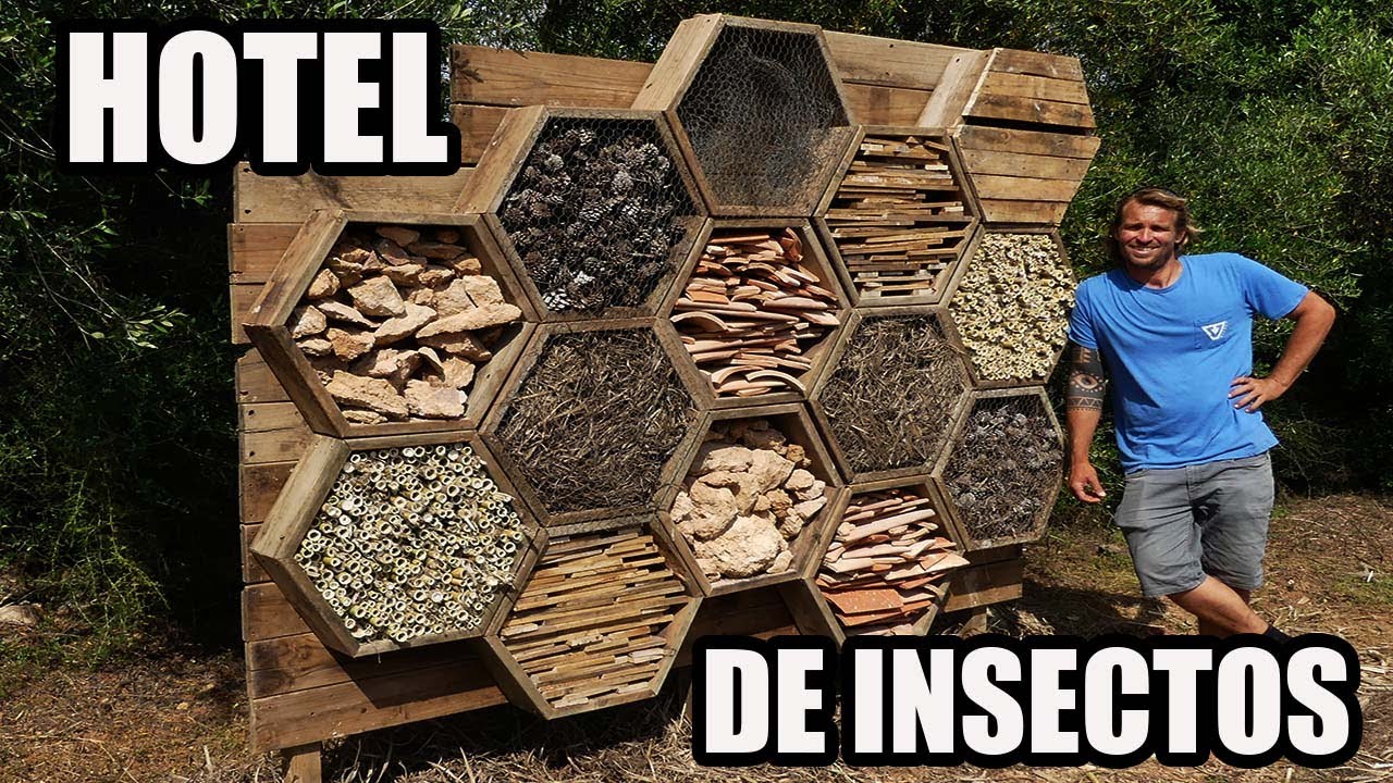 El Mejor Hotel de Insectos Que Has Visto Nunca  🦗🐞🕷🦋