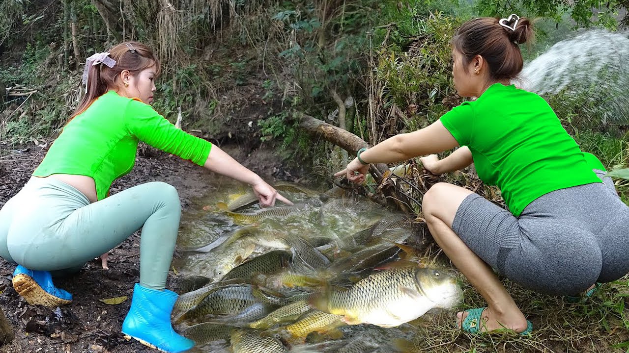 Girl Used Bait To Lure Fish Into The Tiny Pond | Used a Pump to Suck Up All The Water|Omelia Fishing