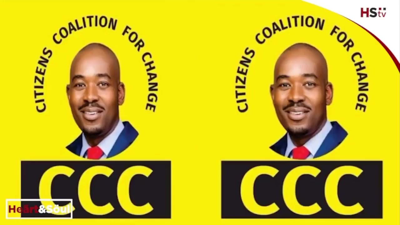 The CCC Wave - People Speak on Chamisa Move | #HStvZim