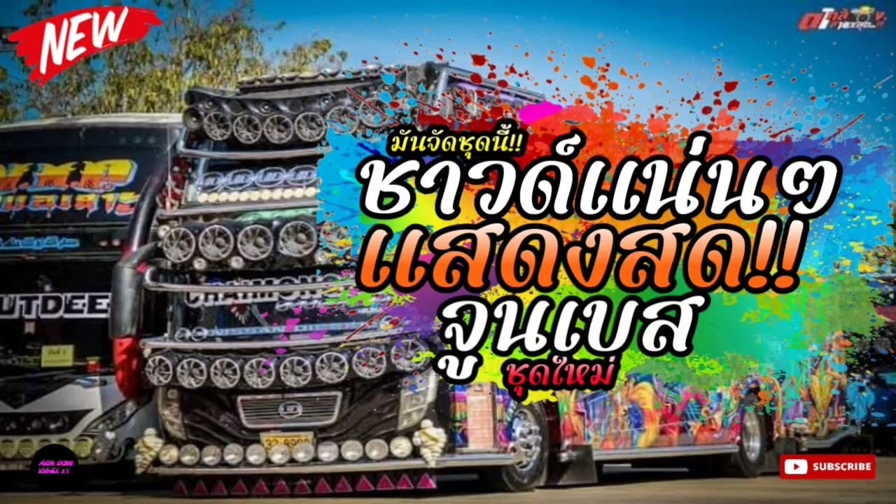 #แสดงสดจูนเบส