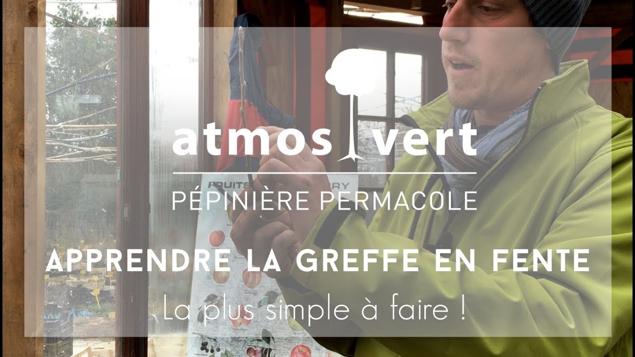 ATMOSVERT Pépinière permacole I Apprendre la greffe en fente