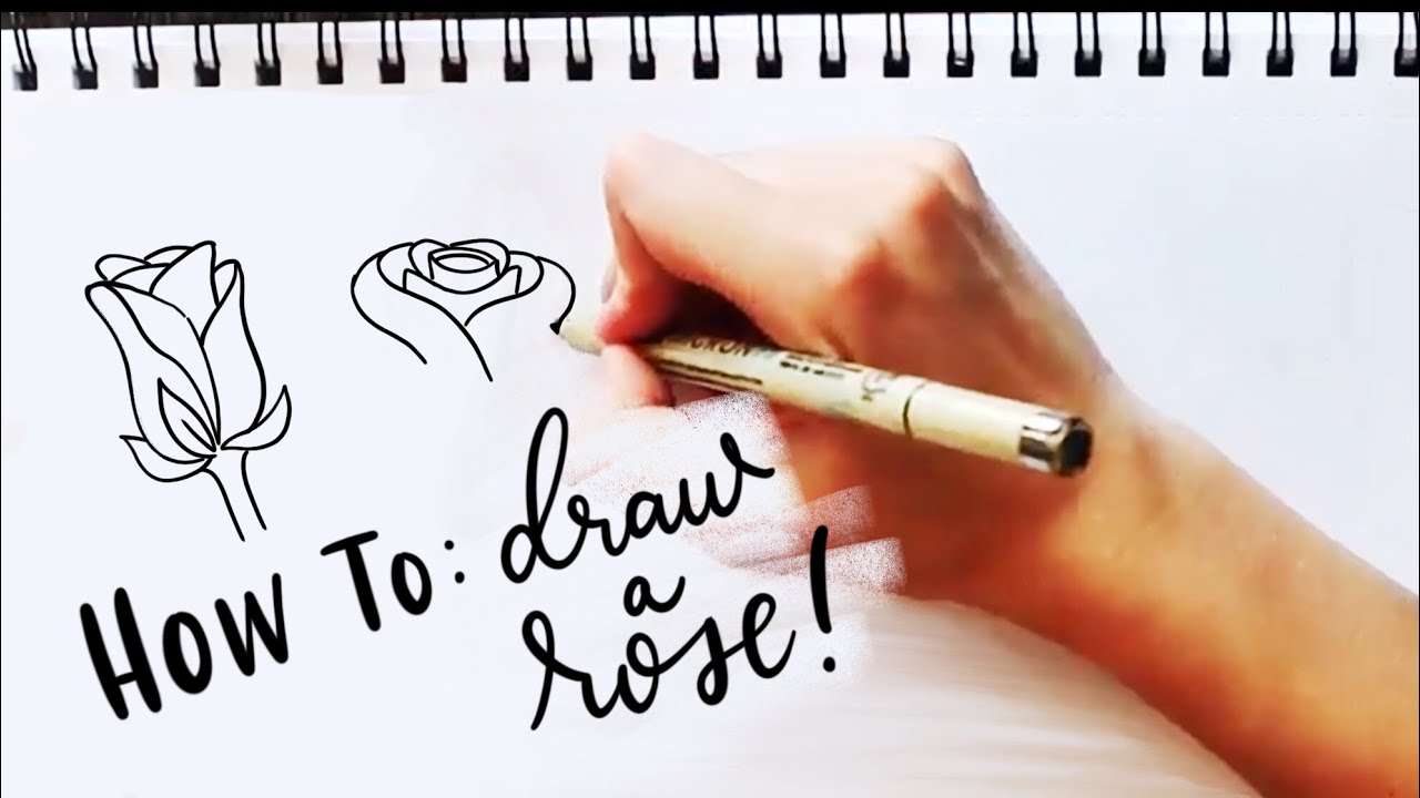 How to Draw a Rose! + 30 other floral doodles
