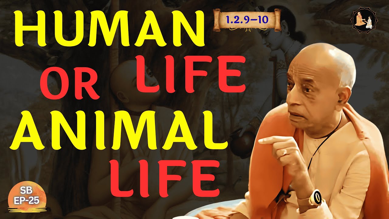 You’re Living Like an Animal — Prabhupāda Exposes the Harsh Truth | SB 1.2.9–10 | EP-25