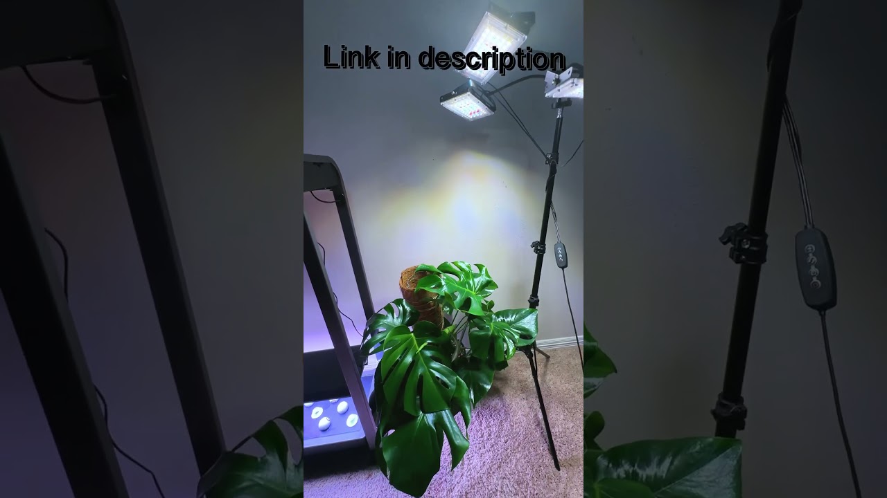 Удивительный свет для комнатных растений