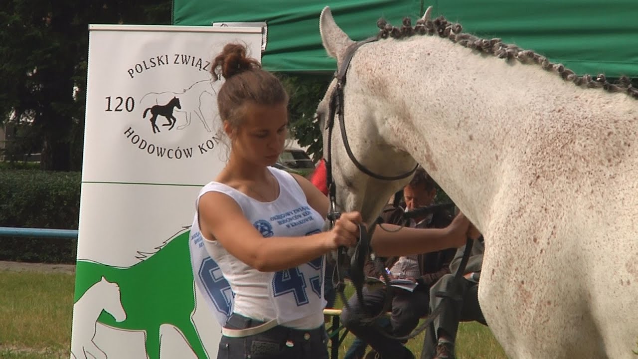 Święto konia małopolskiego- Klikowa 2015
