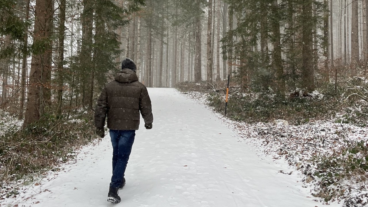 Winter Arc