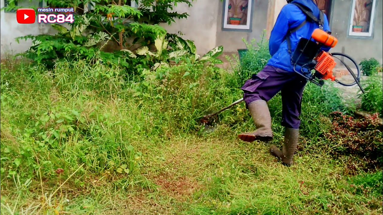 Anak kecil Asik Bermain karena rumput di halaman Rumah Kosong ini ku babat semua #rc84