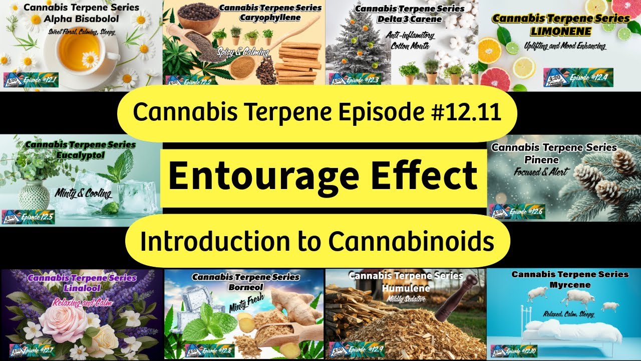 Entourage Effect