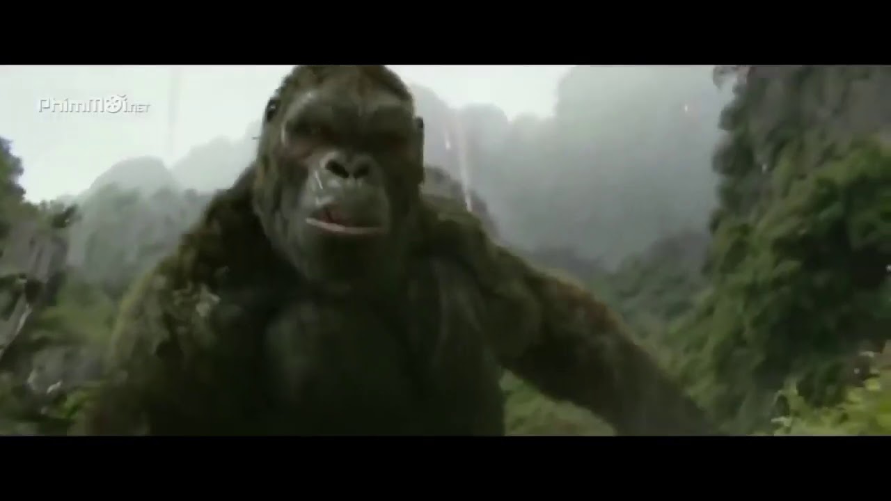 Kong & Godzilla | amv | awake and alive