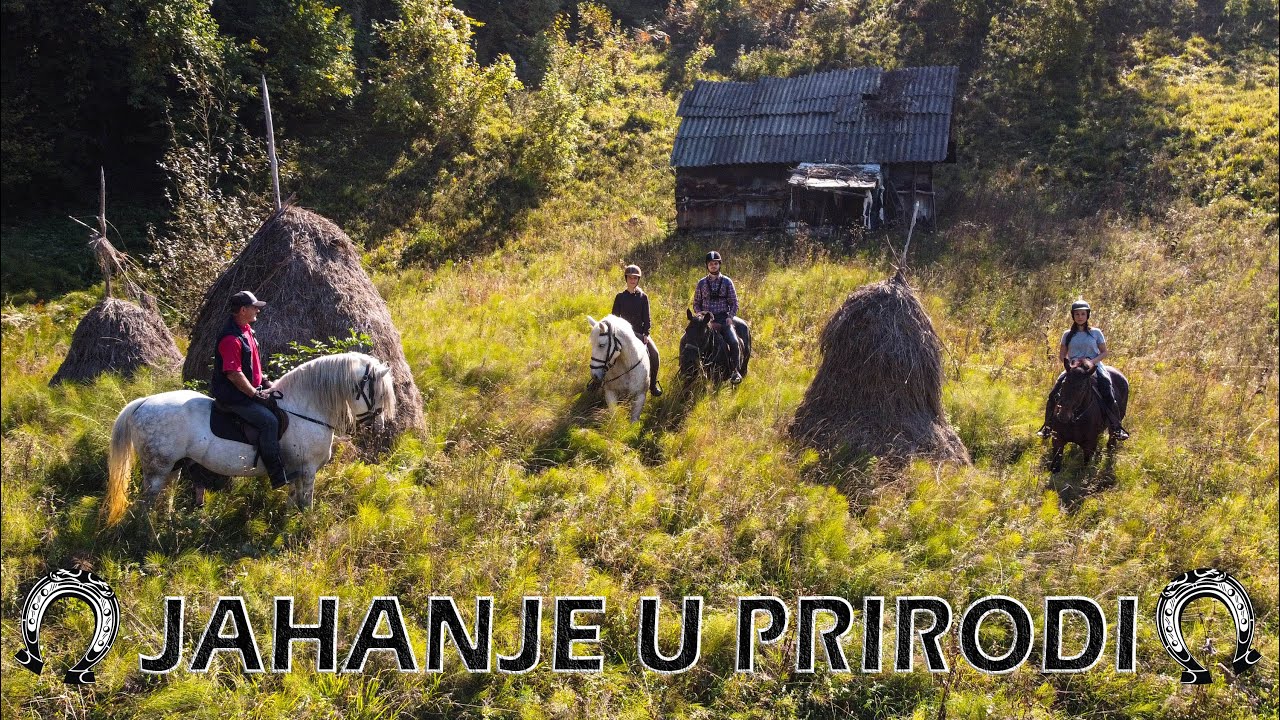 JESEN SA LEĐA KONJA - Jahanje u prirodi 🐎 🍁 🌾