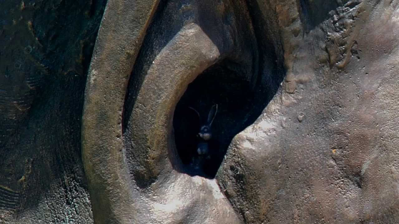 Controversy over Tiny Rabbit in Ear of Nelson Mandela Statue
