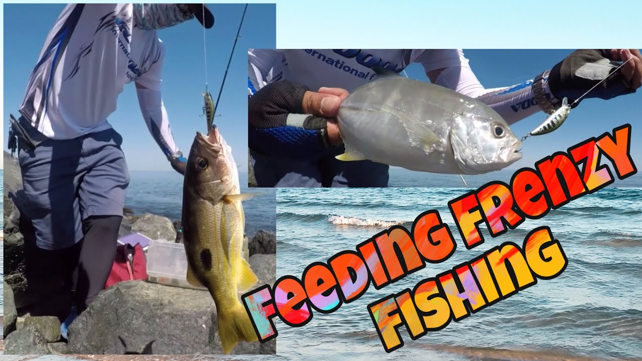 Feeding frenzy fishing | Shorejigging | Shorecasting | Snapper | Trevally