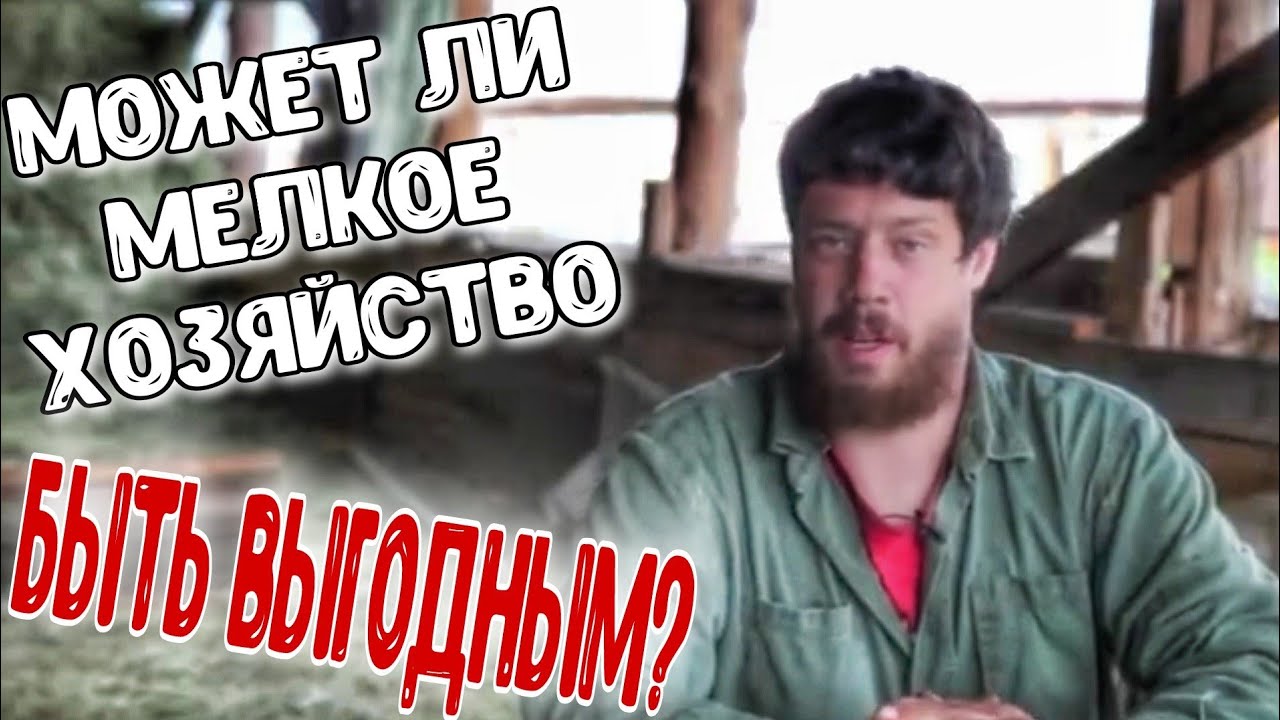 Может ли мелкое хозяйство быть выгодным?