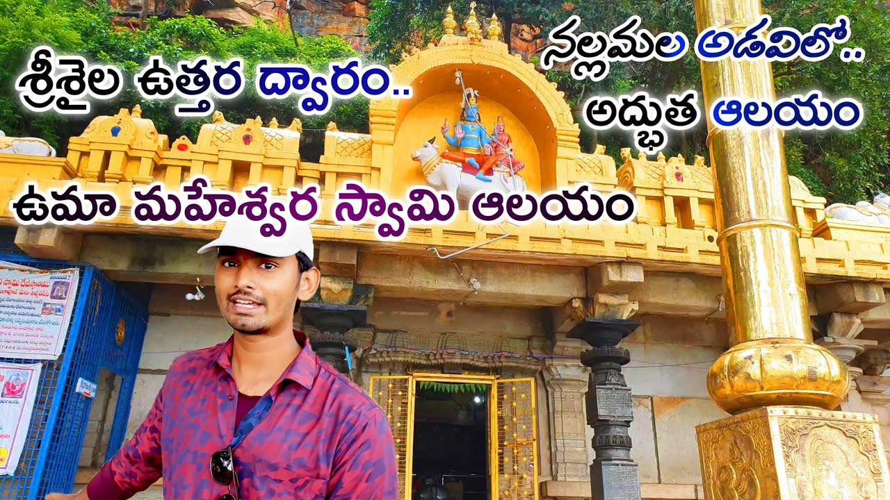శ్రీశైలం|Umamaheshwaram|umamaheswaram temple|Srisailam|Nallamala Forest|telangana tourists places