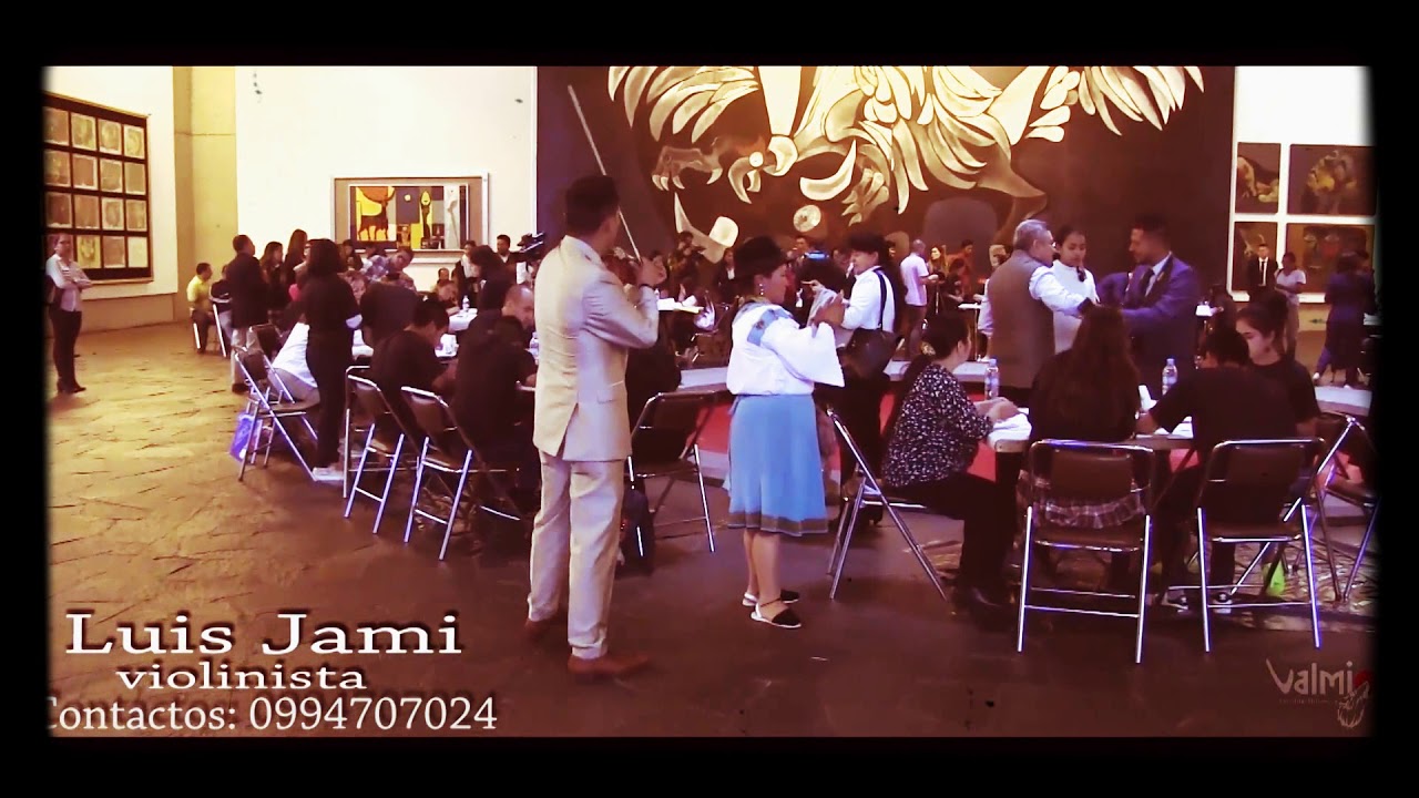 MUSICA INSTRUMENTAL VIOL&Iacute;N - VIOLINISTA QUITO