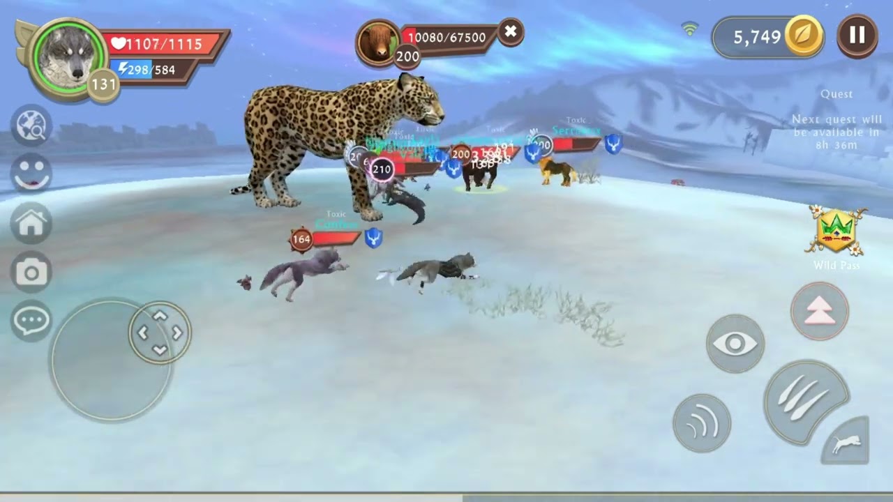Large Leopard but a small Yak?! How is this possible?!😱🐆 @PitchTheFox_2568 