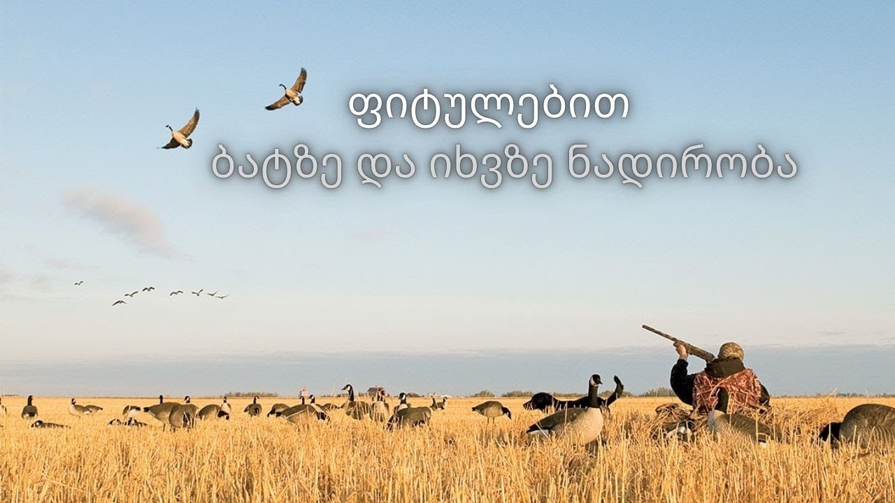 ნადირობა ბატზე და იხვზე