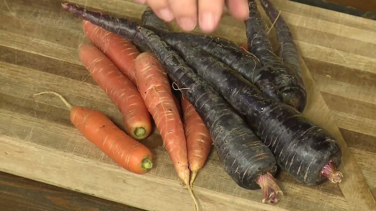 Raw Carrots are More Nutritious