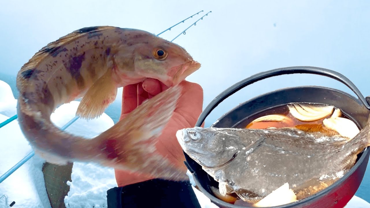 大寒の北海道でカレイとホッケが釣れた日は丸ごと鍋に放り込んで暖まる