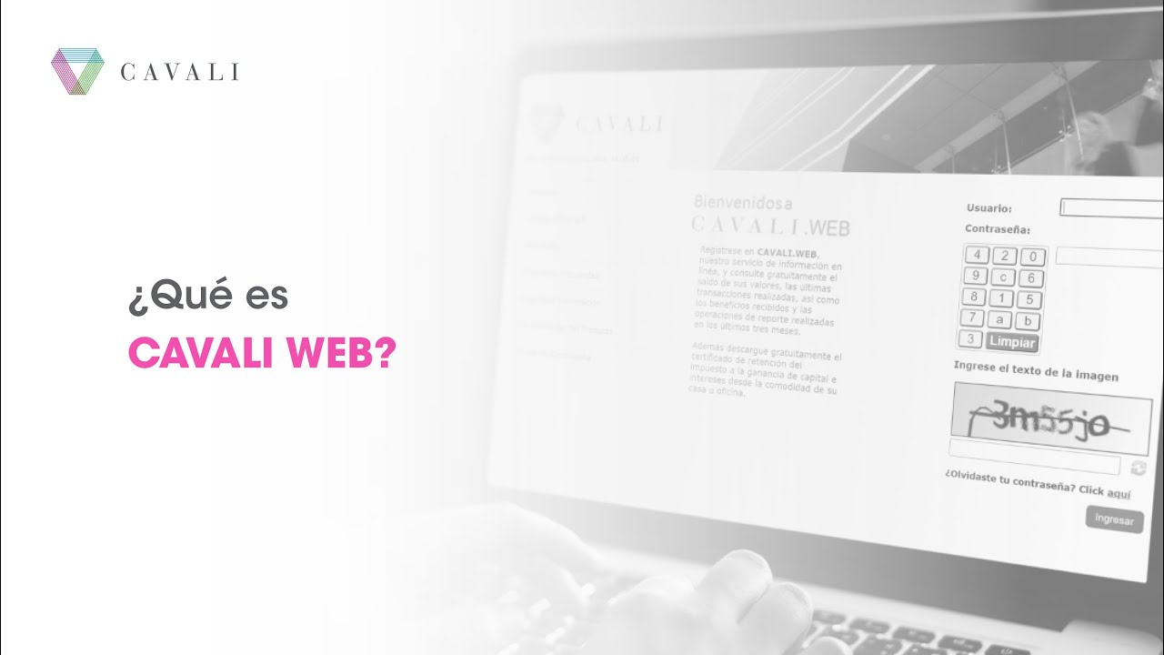 ¿Qué es CAVALI WEB?