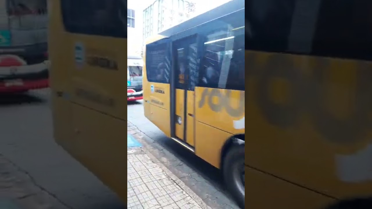 SOU Limeira e Lira Bus